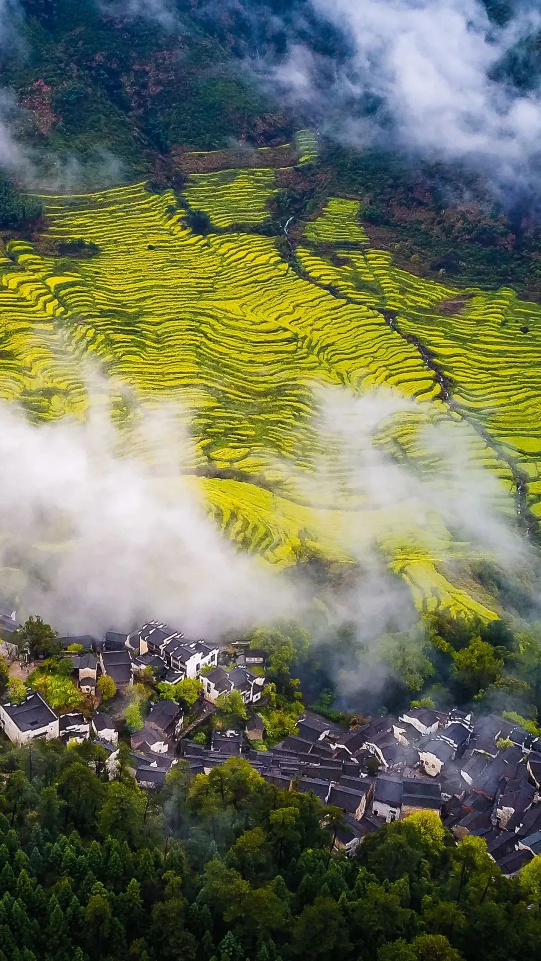 江西智造领航未来，揭秘江西高科技新成果
