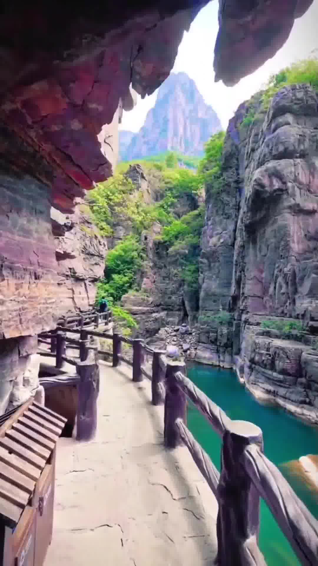 河南轻松攻略，XX任务/XX技能速成指南