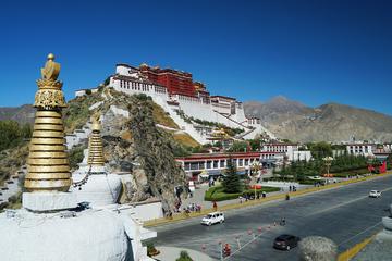 西藏，和平稳定与繁荣发展的生动画卷