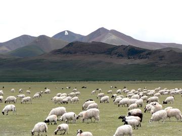 西藏,和平稳定与繁荣发展的生动画卷
